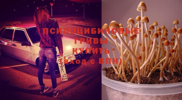 jwh Абинск