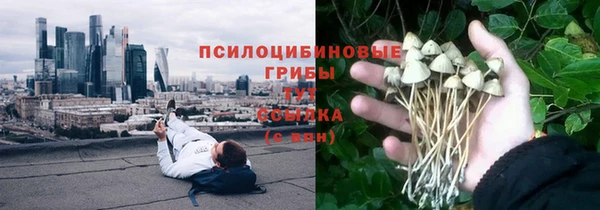 ALPHA PVP Алексин
