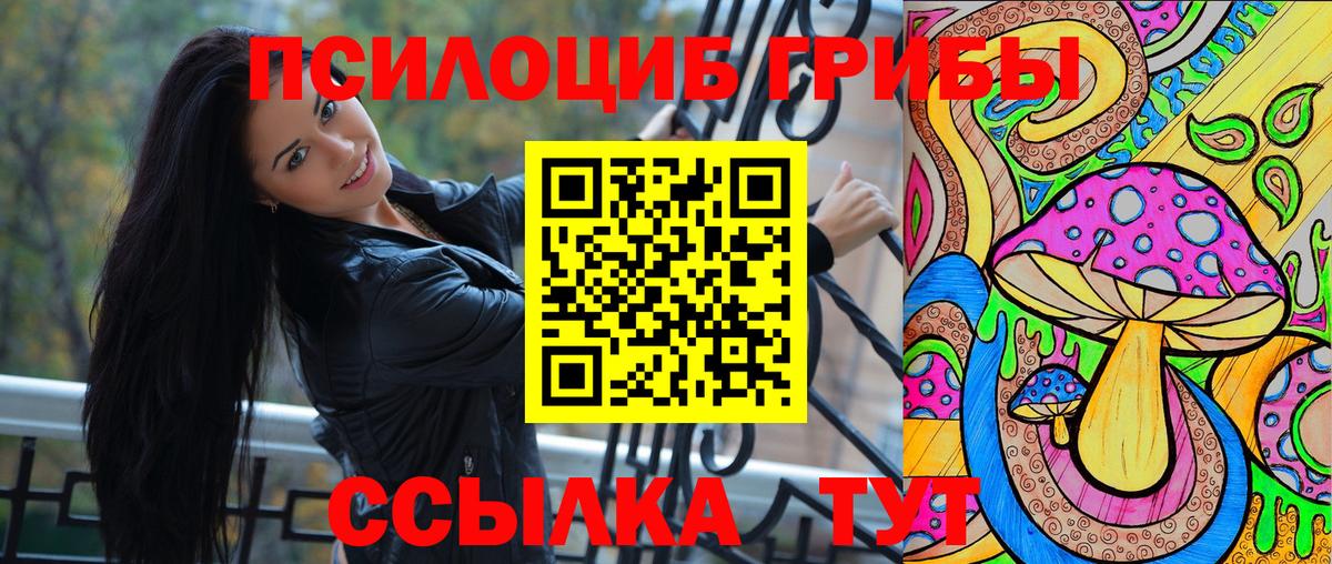 Ковров  Псилоцибиновые грибы прущие грибы  Вход с VPN 